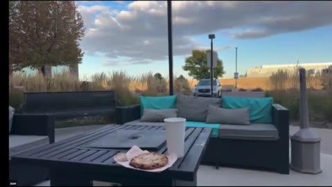 FaithNFreedomTV: More Channels at faithnfreedom.tv