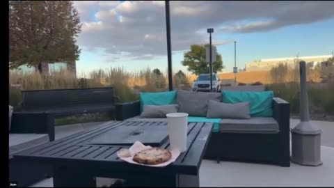 FaithNFreedomTV: More Channels at faithnfreedom.tv