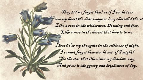 Blue Bell - The Language of Flowers
