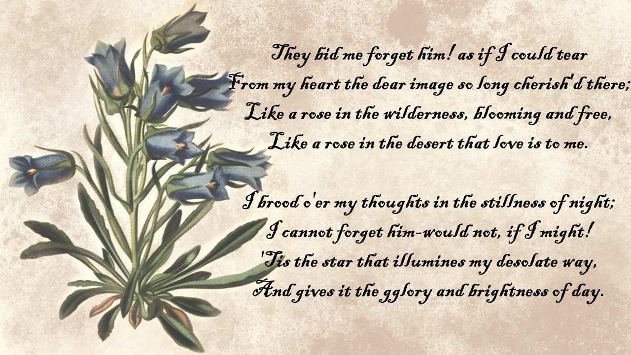 Blue Bell - The Language of Flowers