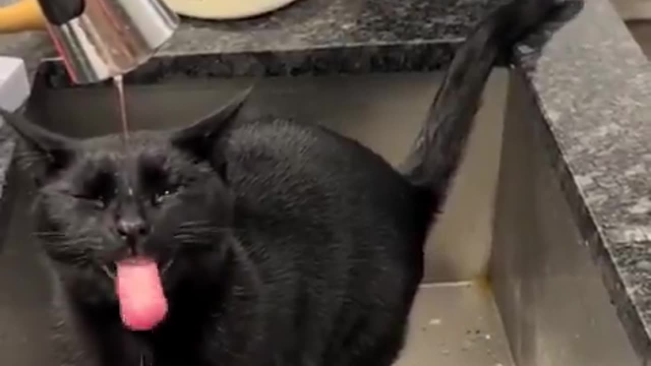 Another day at the water factory