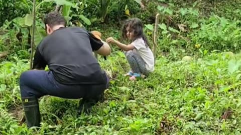 Expat Life in the Philippines | Planting Lemongrass with My Daughter
