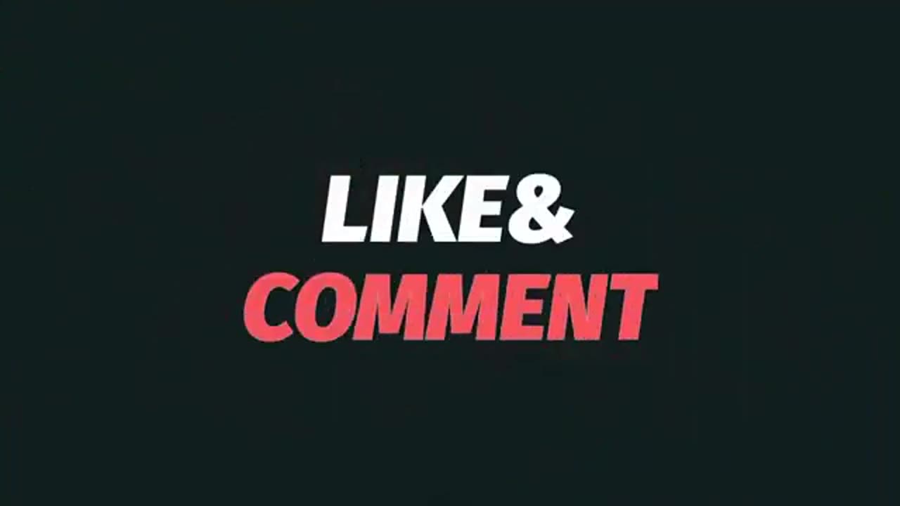 Funny Cat Compilation! 😹 Cats Being Cats!
