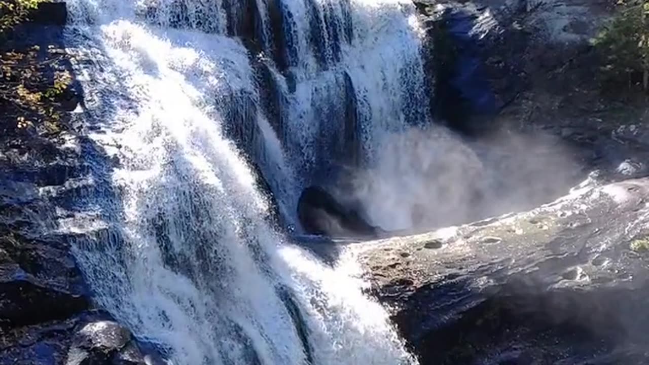 Daily Horoscope | Cancer 🌟