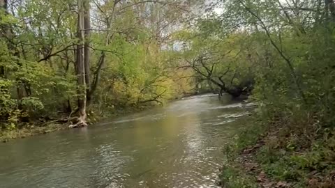 My why (testimony). Part 2.