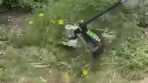 Liệu Có Cụt Chân Không? 😱