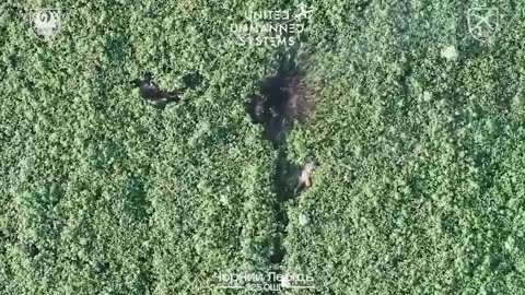 🎯🔥 Ukraine Russia War | Ukrainian Drones Eliminate Russian Soldiers Near Kindrativka | RCF