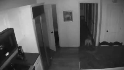 😱👻 You Won't Believe What They Caught on Camera! Shadow Figure | TheHauntingHour