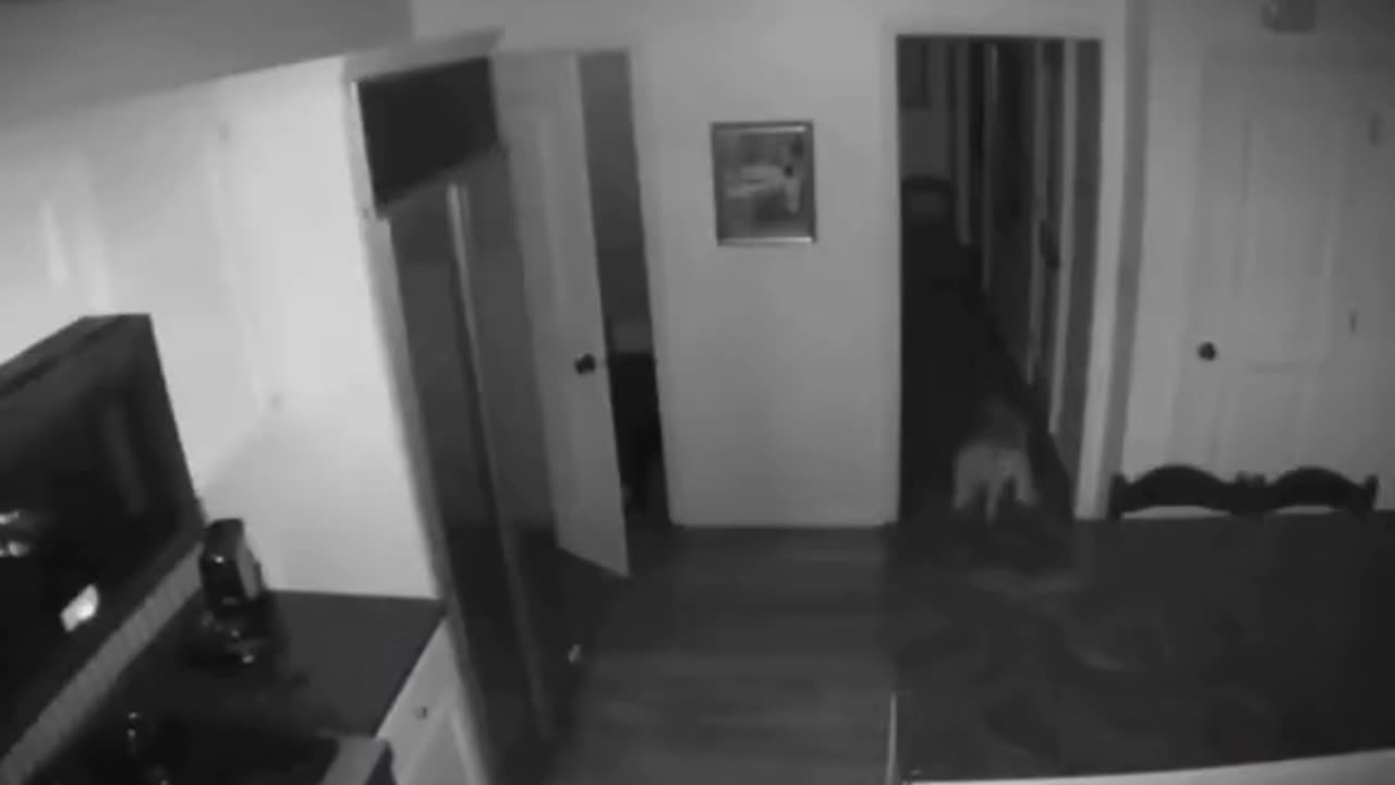 😱👻 You Won't Believe What They Caught on Camera! Shadow Figure | TheHauntingHour