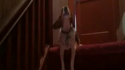 I'm up. Help me down the stairs.