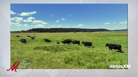 Mysterious Disappearance of TV News Anchor Jodi Huisentruit 30 Years Ago - Crime Week Continues