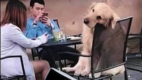 Boring Conversation