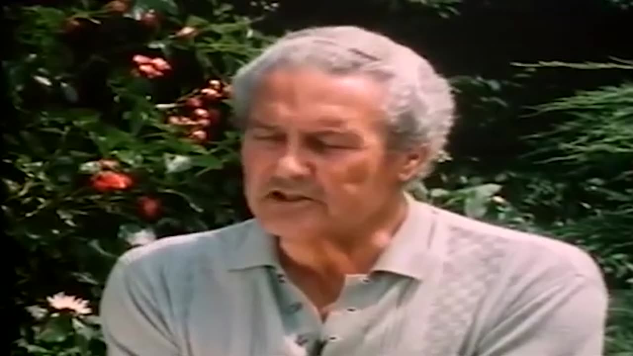 Eastern Front Veteran Interviews WW2 Urban Combat