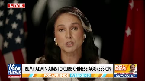 Tulsi Gabbard on countering Chinese aggression with Asian allies