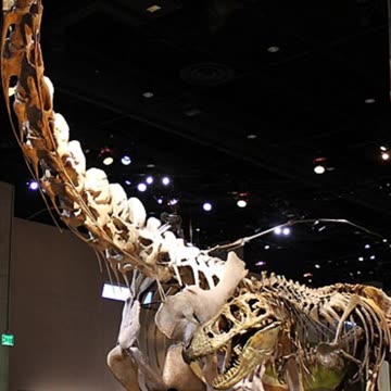 Alamosaurus: The Giant of North America