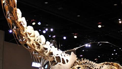 Alamosaurus: The Giant of North America