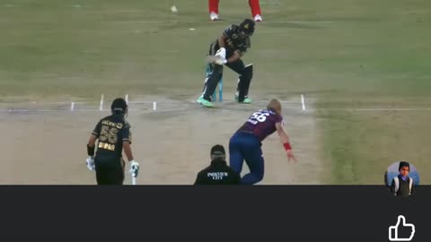 Cricket beauty