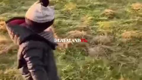 Feel the action