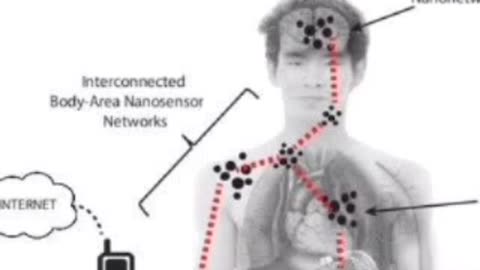 You and the Quantum Communication System. Nonvaxer420