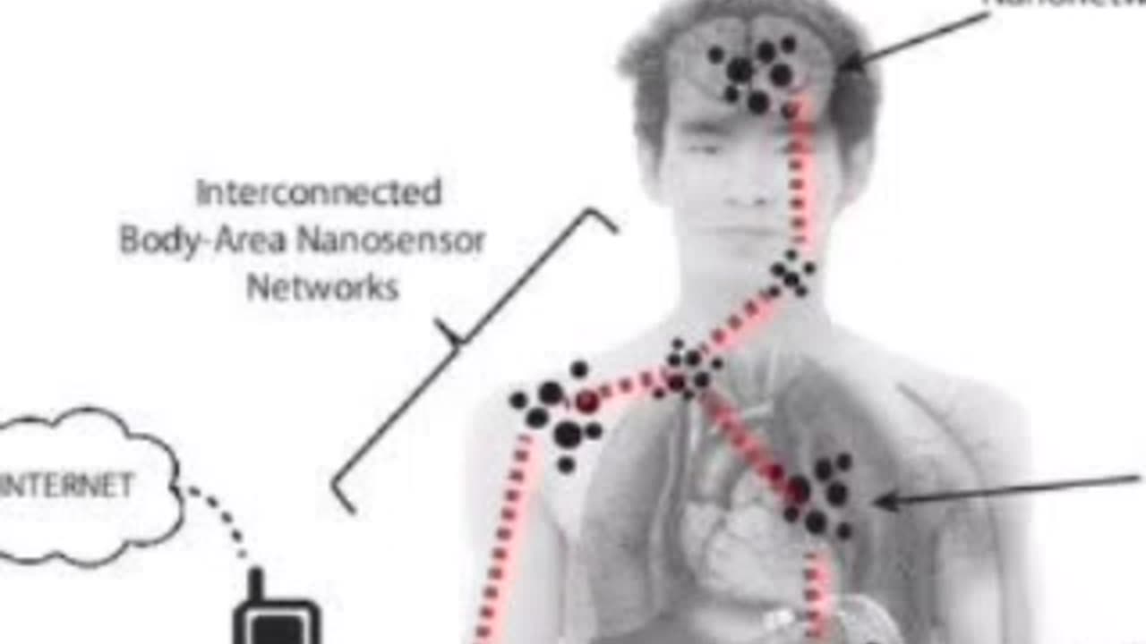 You and the Quantum Communication System. Nonvaxer420