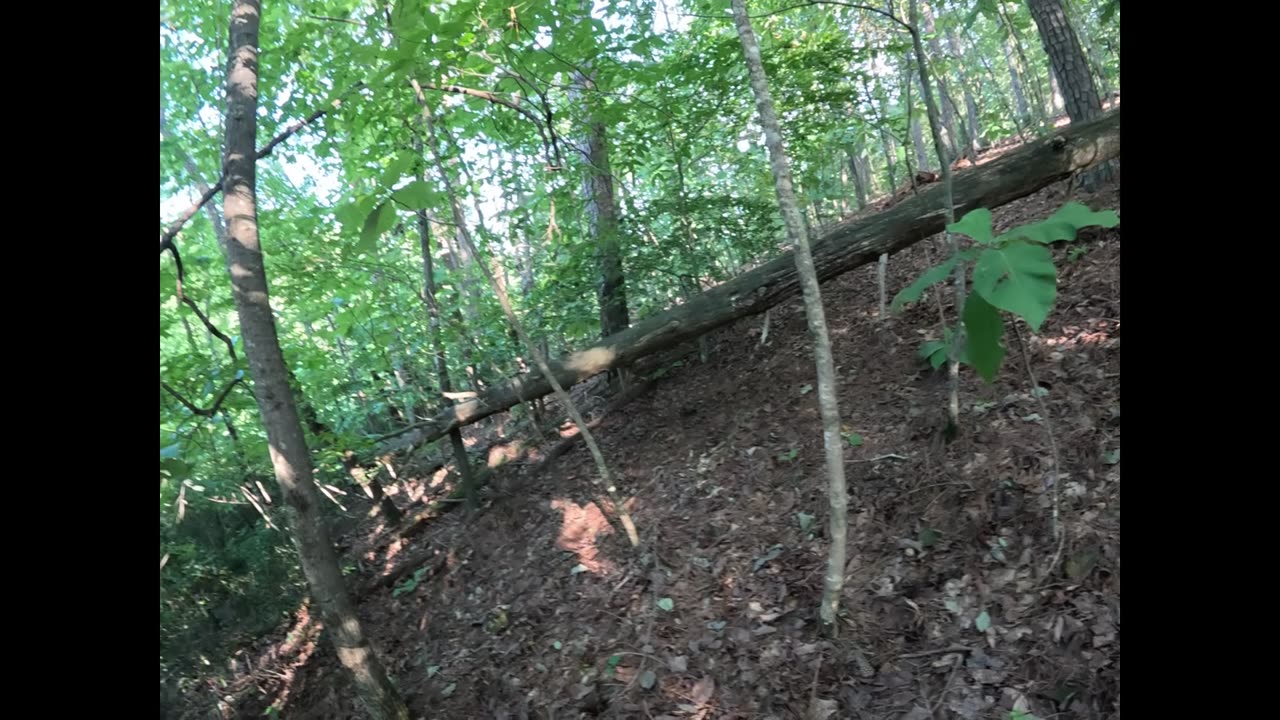 Can this retard make it to the tree before he touches lava Day: 6
