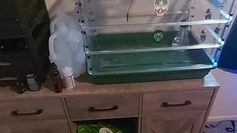 GROW ROOM tour with TWO BUDS IN A JAR 🫙