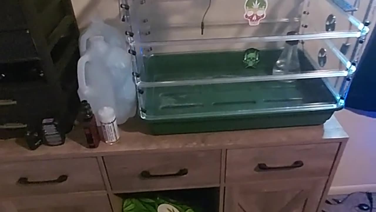 GROW ROOM tour with TWO BUDS IN A JAR 🫙