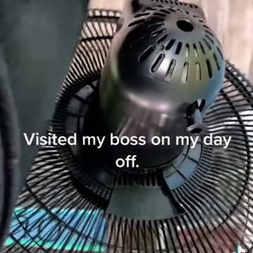 ASS TEARERS ASSOCIATION - VOL. 474: THE DAY OFF ASS TEARER