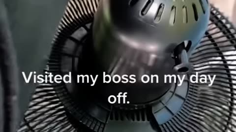 ASS TEARERS ASSOCIATION - VOL. 474: THE DAY OFF ASS TEARER