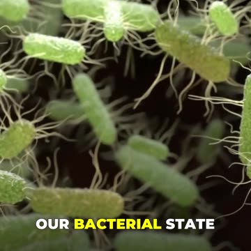 🍟 The Truth Behind Ultra-Processed Foods 🧪🚫