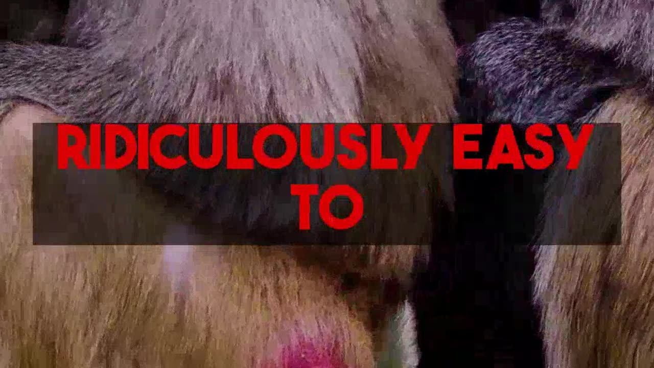 Unlock stunning color: Pro tips for colorizethis.io to revive old photos.