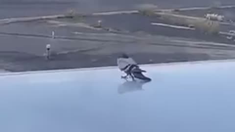 😂💨 He Just Trusted the Plane! | FunFM