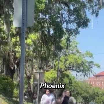 Two people died in a shooting at Florida State University