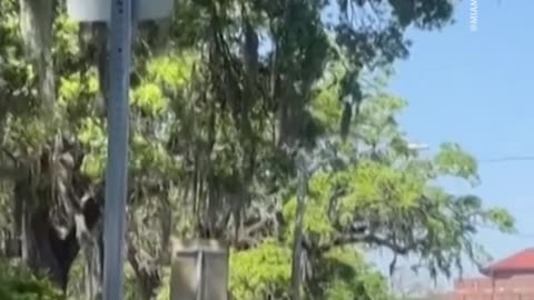 Two people died in a shooting at Florida State University