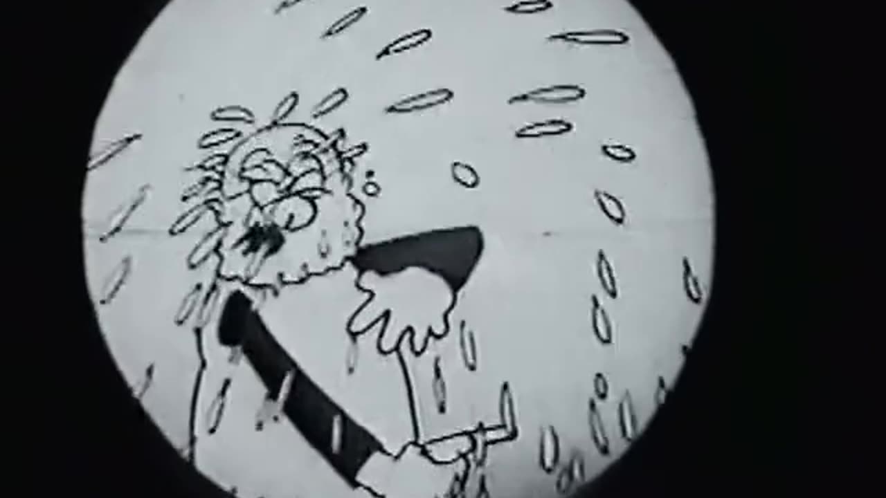 Van Beuren Studios Cartoons - 1929x37 - Aesop's Fables Snapping the Whip