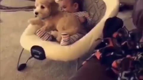 Baby and puppy