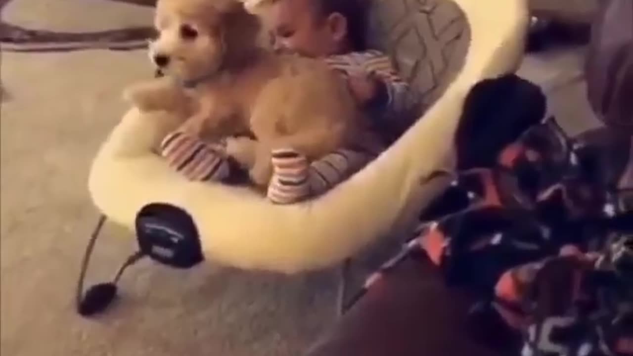 Baby and puppy