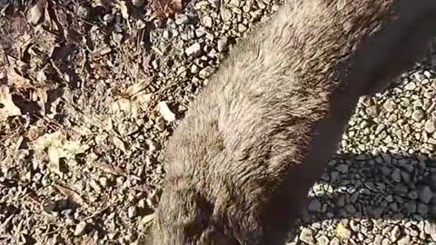 We are brought together by many little things