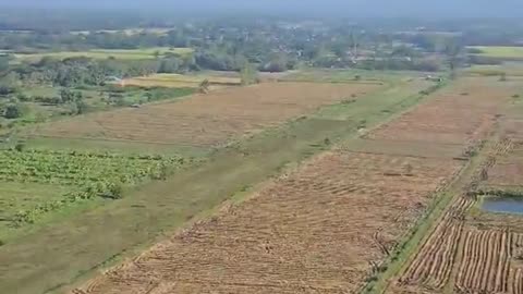 🪂🔥 Myanmar War | Tatmadaw Deploys Paramotors for Recon Missions | RCF