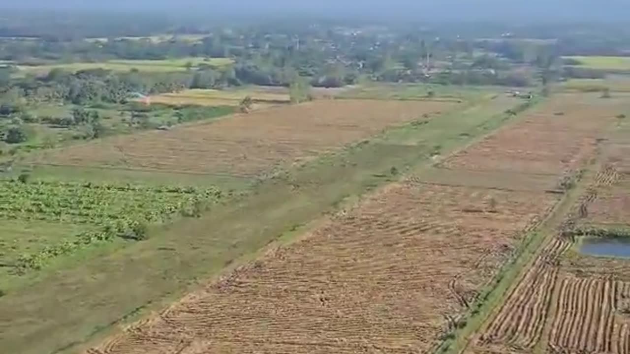 🪂🔥 Myanmar War | Tatmadaw Deploys Paramotors for Recon Missions | RCF