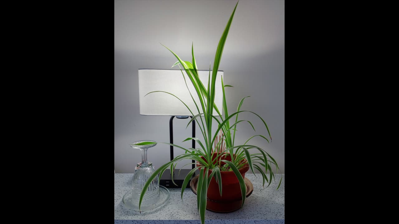 LORD GOD RESTORE THE PRESIDENT to COMPLETE WHOLENESS___07192025