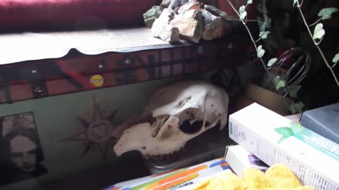 Diario Di Bordo (27 Dicembre 2023) [X°]