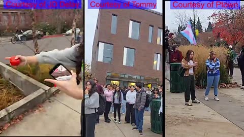 Tommy Goes To College