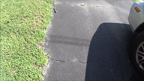 RANDOM VIDEOS - DATES UNKNOWN