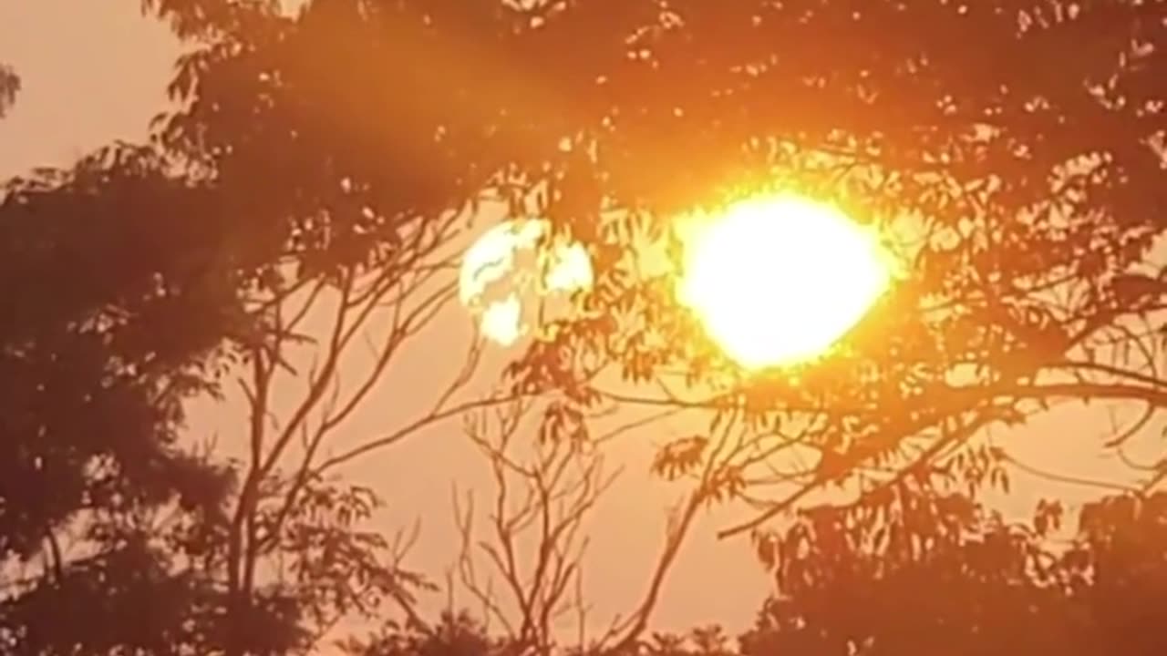 There has been many sightings happening more and more regularly