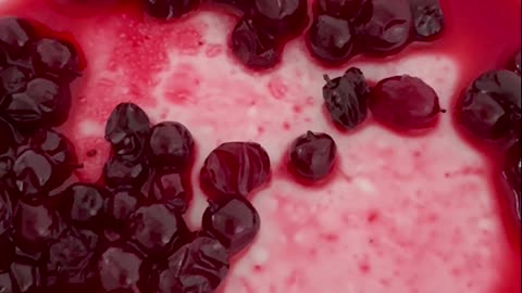 Lingonberry Disaster