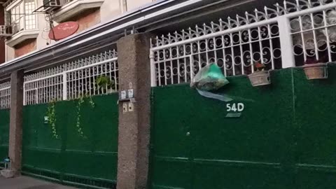 Beautiful Houses Along Mapagkawanggawa Street in Quezon City in the Philippines