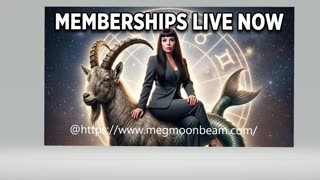 https://www.megmoonbeam.com/