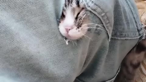 ❤❤❤