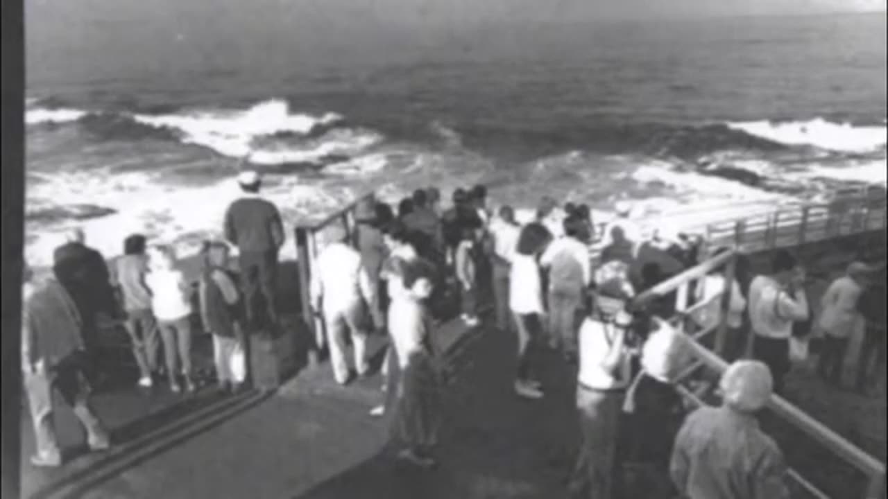 Children's Pool La Jolla CA